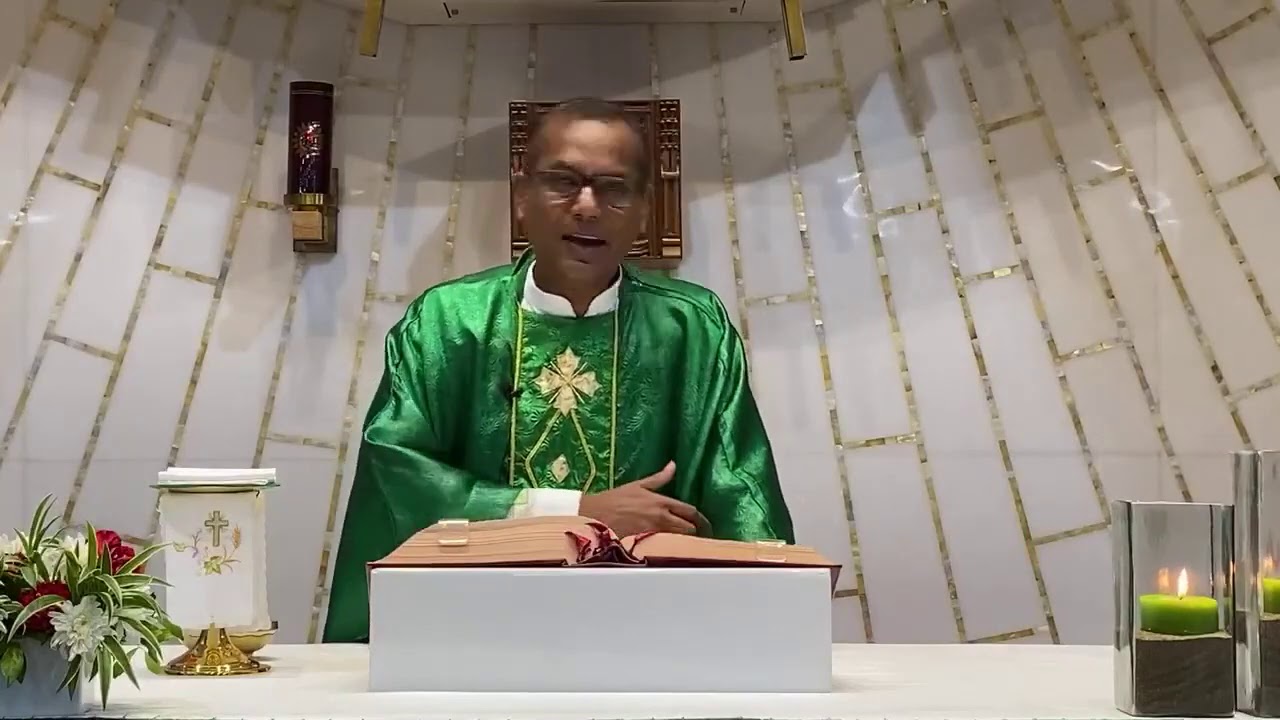 Homily - 30th July, 2020 | Matthew 13:47-53