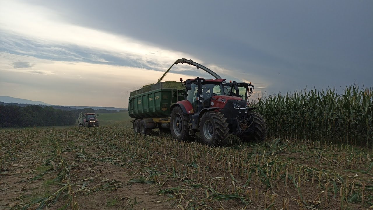 Siláže 2023 Claas Jaguar 870, Case, John Deere Starojicko AS