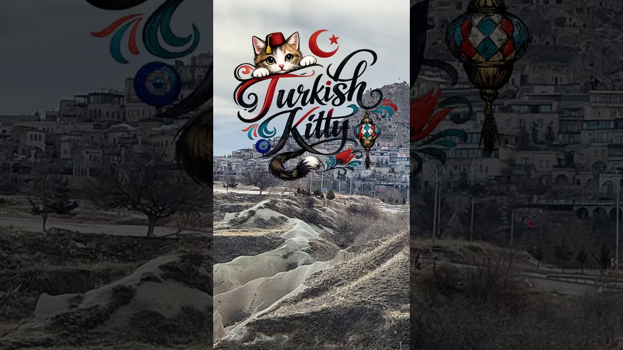 Уличные кошки в Турции такие милые😻 Часть 2!! | Уличные кошки в Анталии #шорты #путешествия #Турц...