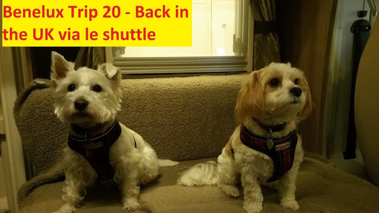 Back in the UK via Eurotunnel & Pet Passport Control - Benelux Trip 20 - Cherry Hinton