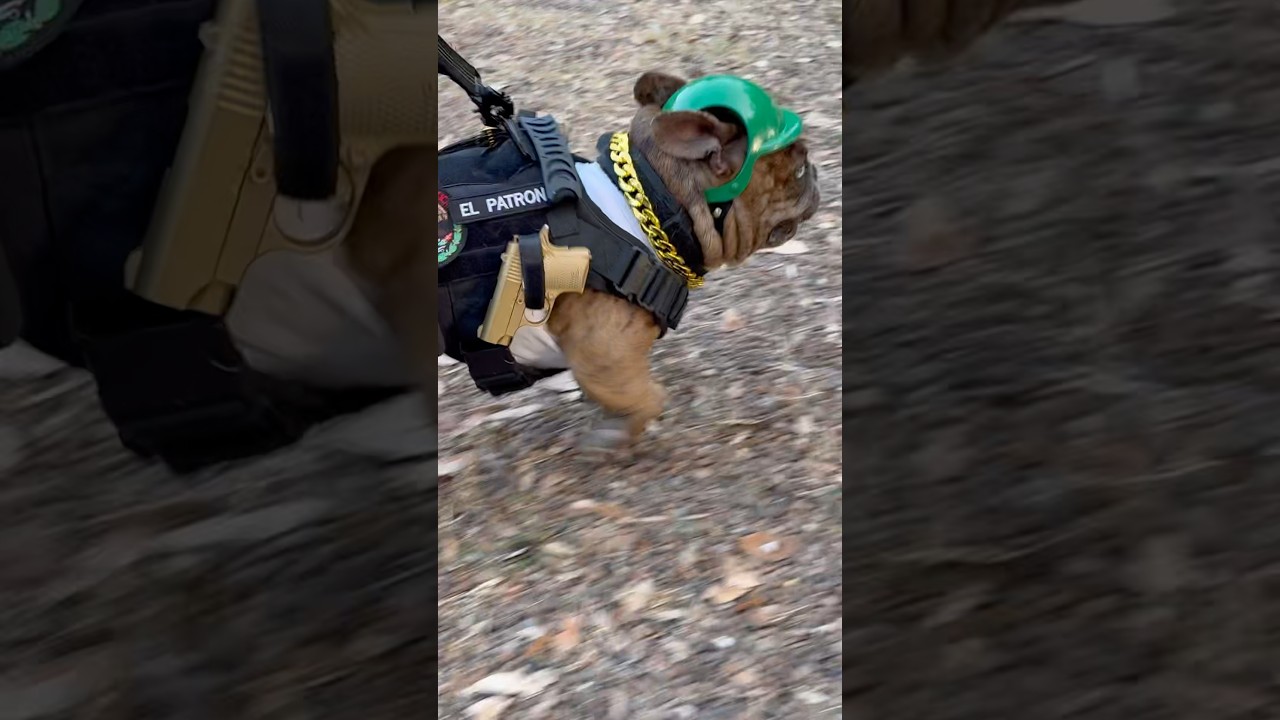 Demasiado táctico, demasiado fabuloso / Too Tactical, Too Fabulous