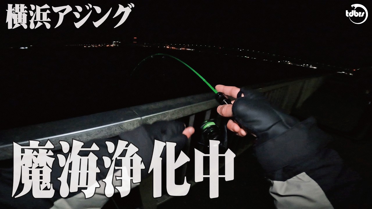 アジが釣れたら開戦　残された平和な時間【横浜アジング】【関東】【神奈川】