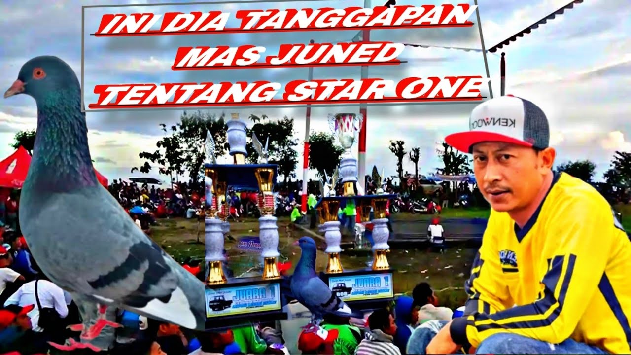 INI DIA TANGGAPAN MAS JUNED TENTANG STAR ONE ⭐ @FAULMERPATI 