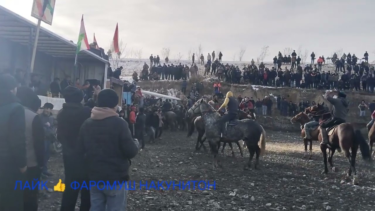 Бози боузкаши дар Худжанд деваштич 27.12.25