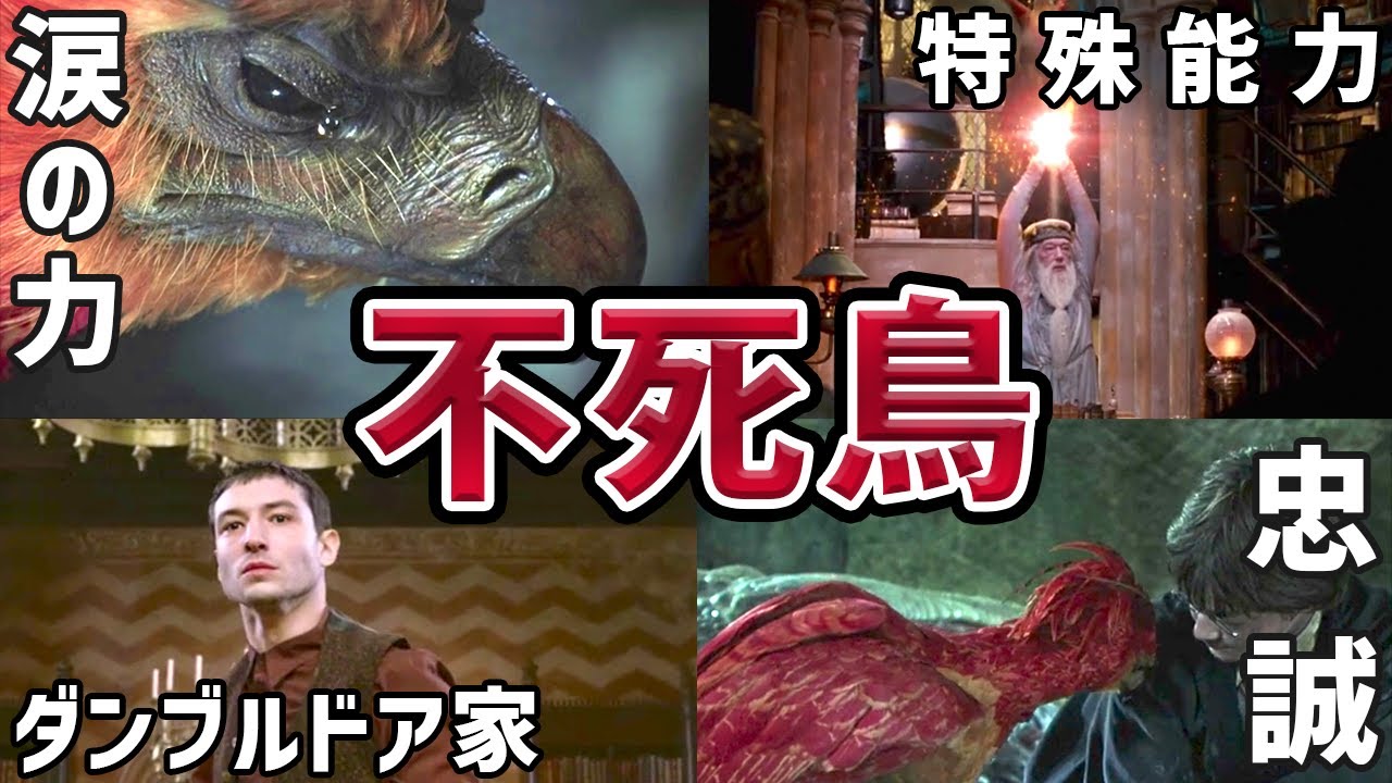 【チート級】不死鳥のフォークスの最強すぎる能力◆ダンブルドア一族との関係