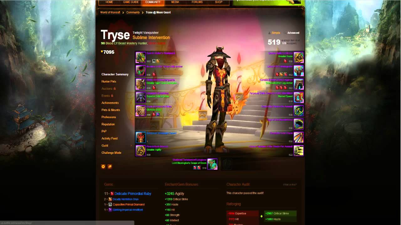 Rate the Transmog! - Viewer Transmog Guides! Tryse's Set