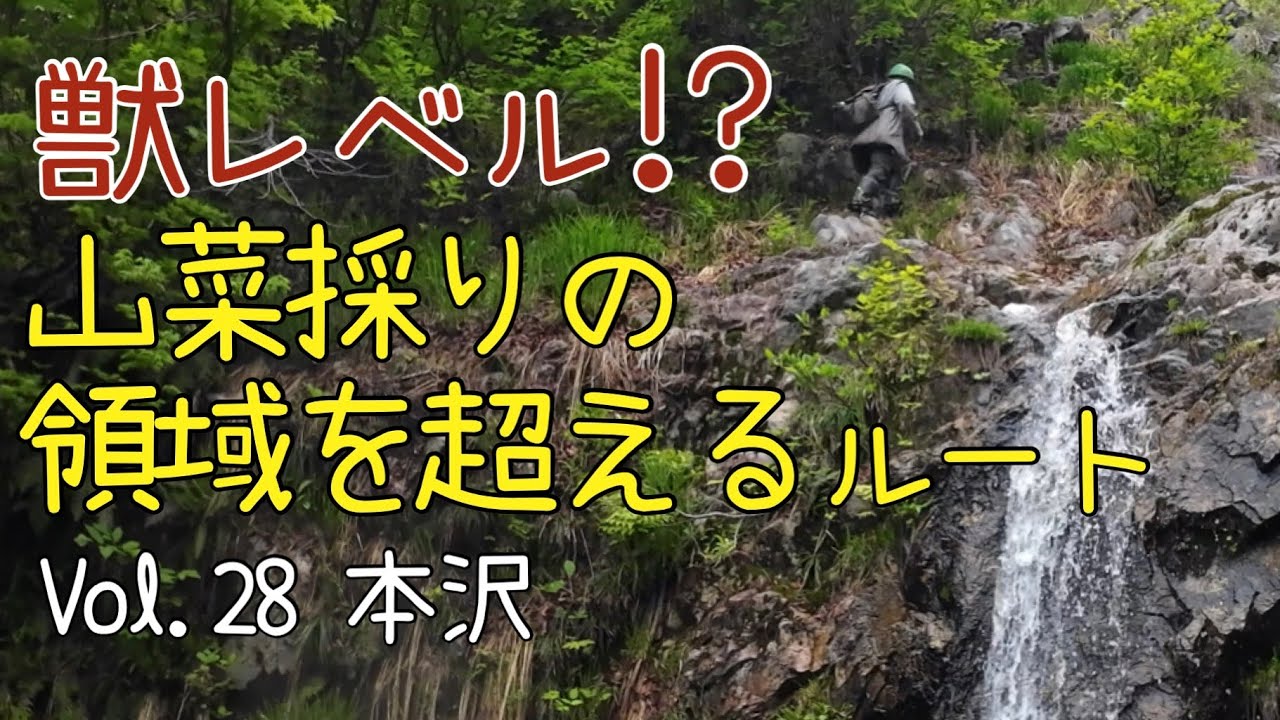 ゼンマイ折りVol.28 獣レベル〜山菜採りの領域を超えるルート〜