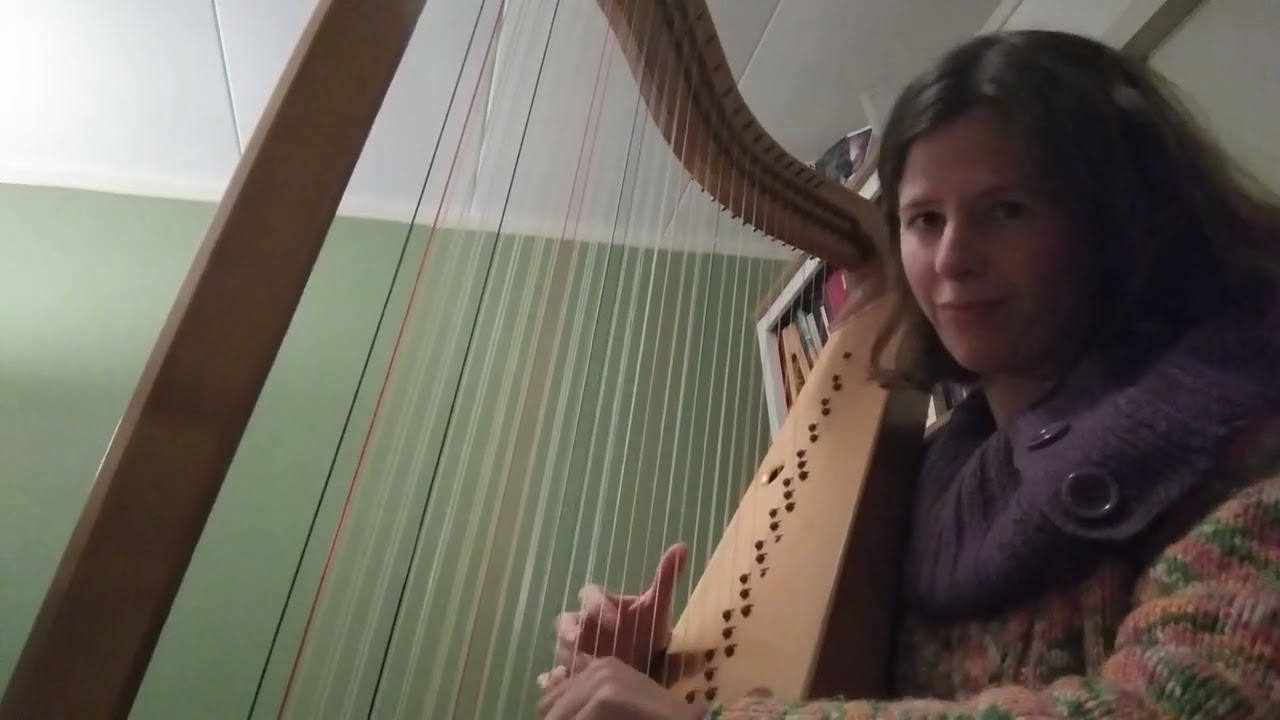 Prelude J.S. Bach on arpa doppia/triple harp by Gabriëlle Jager