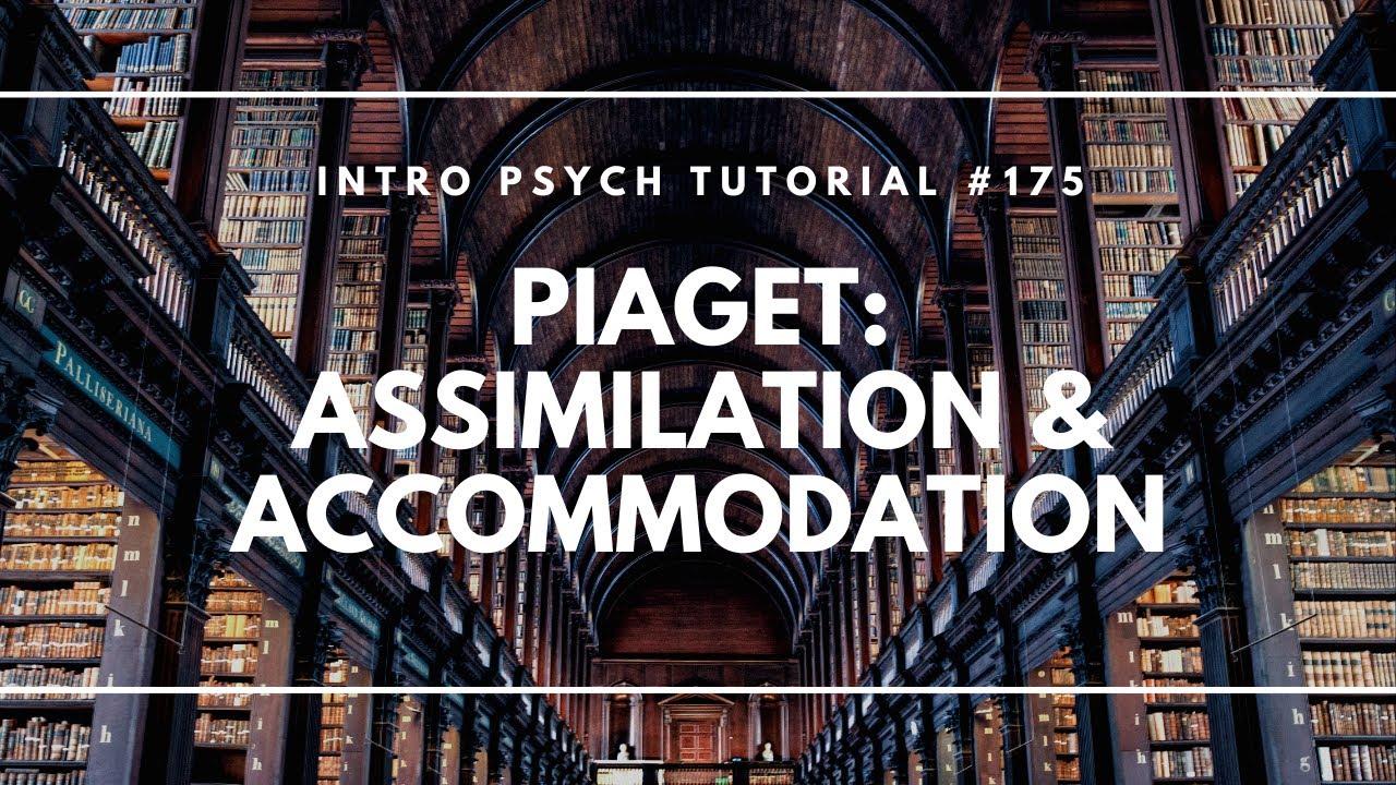 Cognitive Development - Piaget: Assimilation & Accommodation (Intro Psych Tutorial #175)