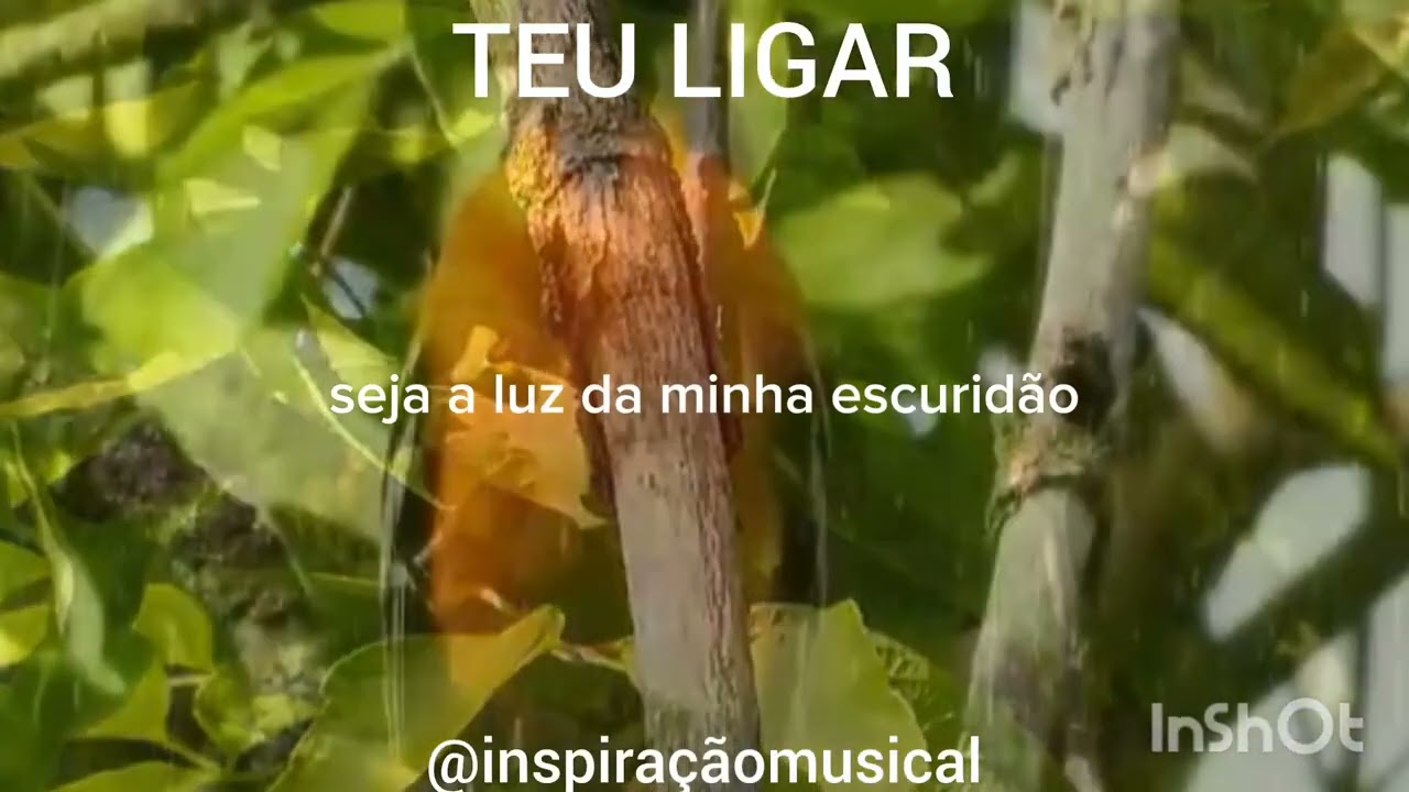 🔴LOUVOR E ADORAÇÃO NO ESTILO DA CANTORA GABRIELA ROCHA