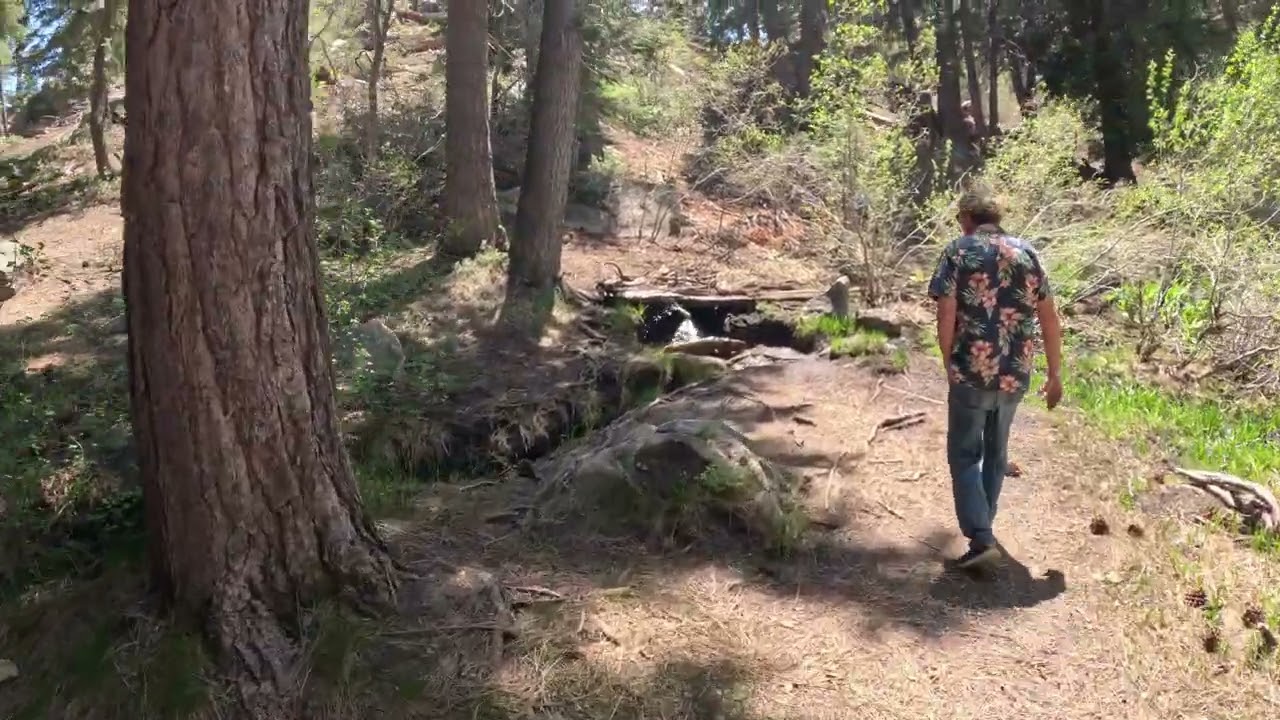 Big Bear Lake -  Knickerbocker to 2N08 to 2N10 Off road June 3, 2023