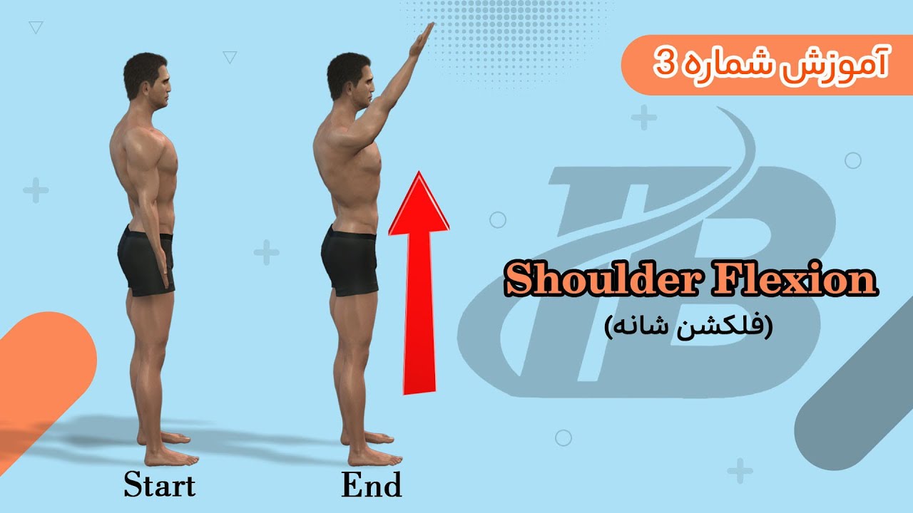 فلکشن شانه ، اموزش شماره سه مقدماتی آناتومی و حرکت شناسی