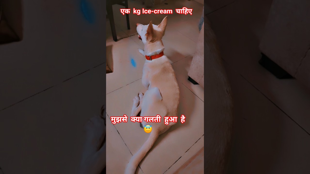 Ice-cream chahiye 🥰
