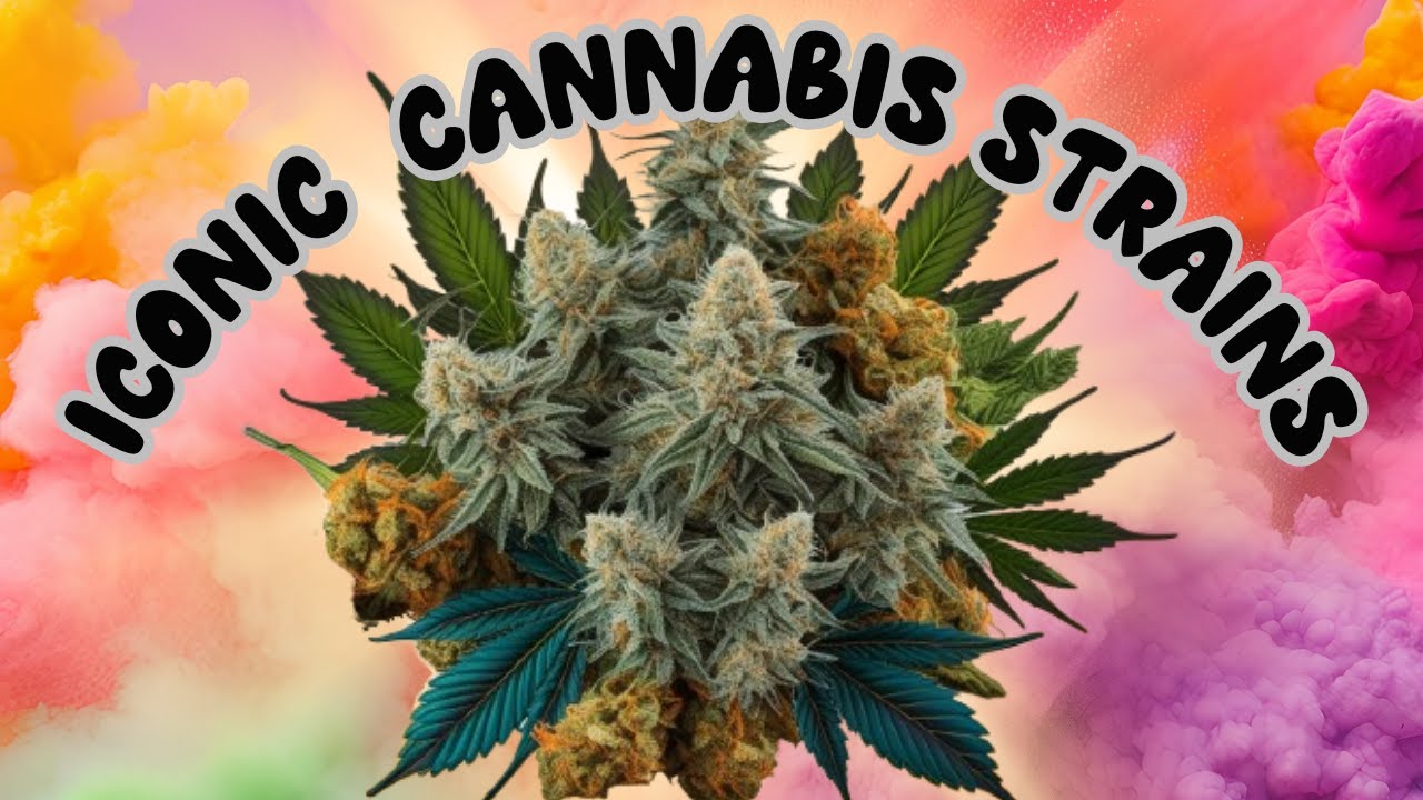 The Story Behind Iconic Cannabis Strains in Pop Culture