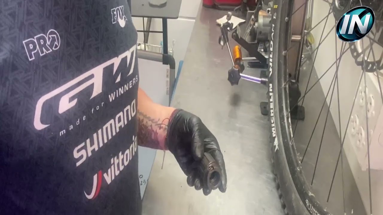 Rueda sin tracción: cambio de trinquetes y reparación de freehub en bicicleta Trek