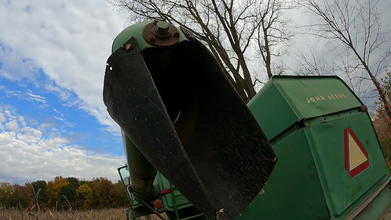 JD 4400 combine runs rebuilt 444 corn head LIKE A BOSS!