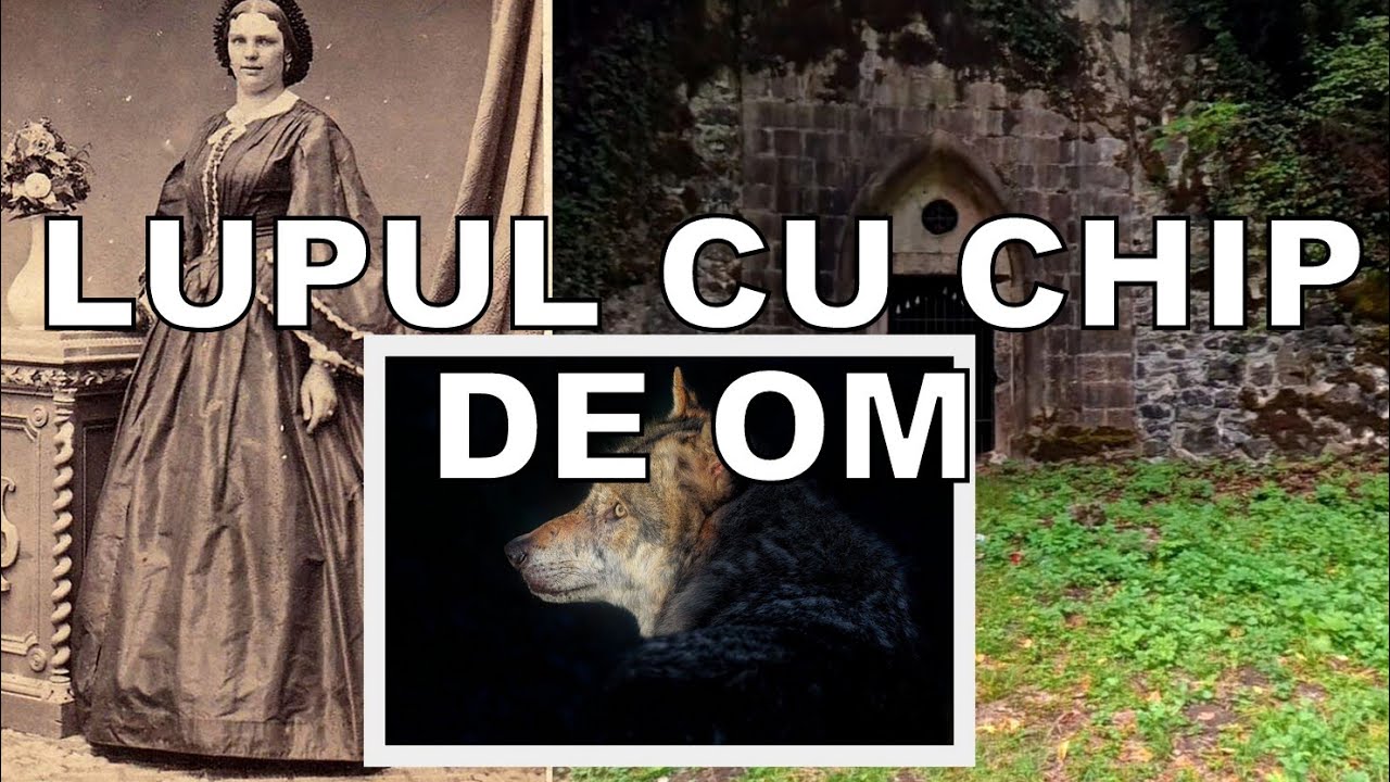 ÎNTÂMPLĂRI STRANII. Contesa și lupul cu ochi de om din Poieni