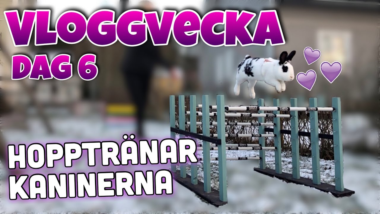 Vloggvecka dag 6~ Hoppträning hemma