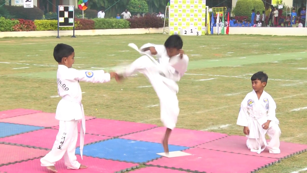 Taekwondo demonstration by our Primary students | Sports Day 2018