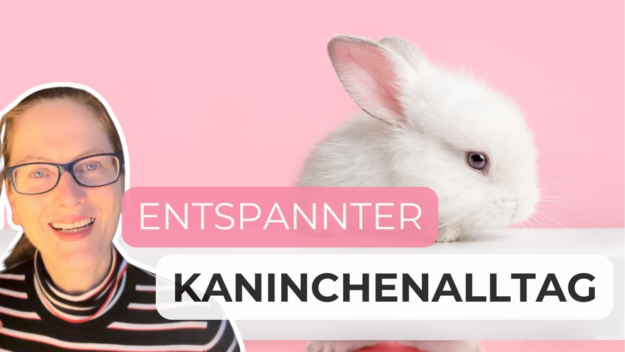So organisiere ich mein Leben mit meinen Kaninchen &ndash; Alltagstipps f&uuml;r Tierhalter