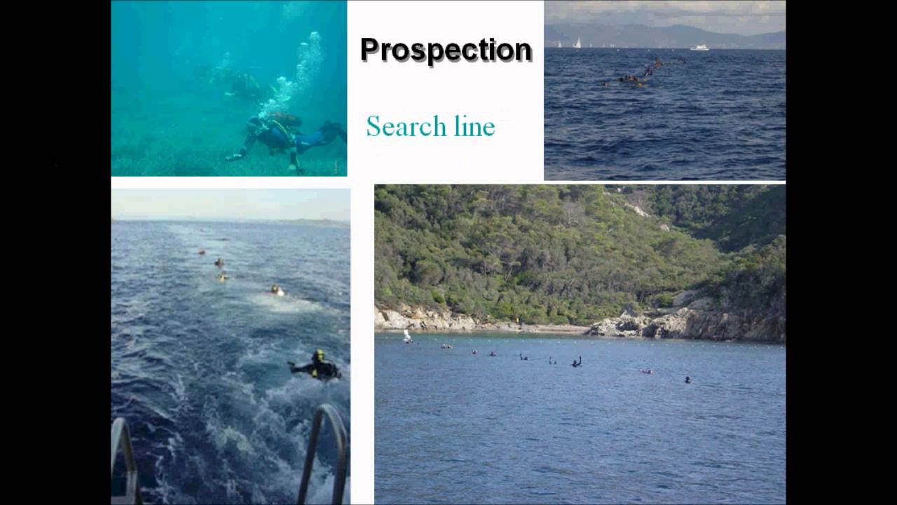 Alain Barcelo - Invasive algae control program in the National Park of Port-Cros