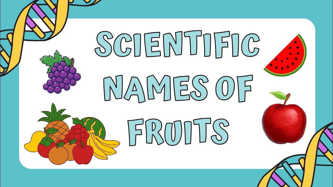 Do You Know These Fruits’ Scientific Names? 🤯 | Fruits GK