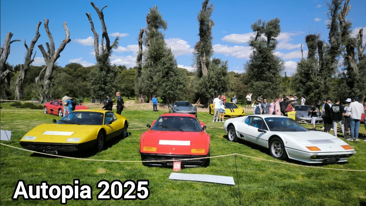 Autopia 2025 idilio automovilistico en el bosque