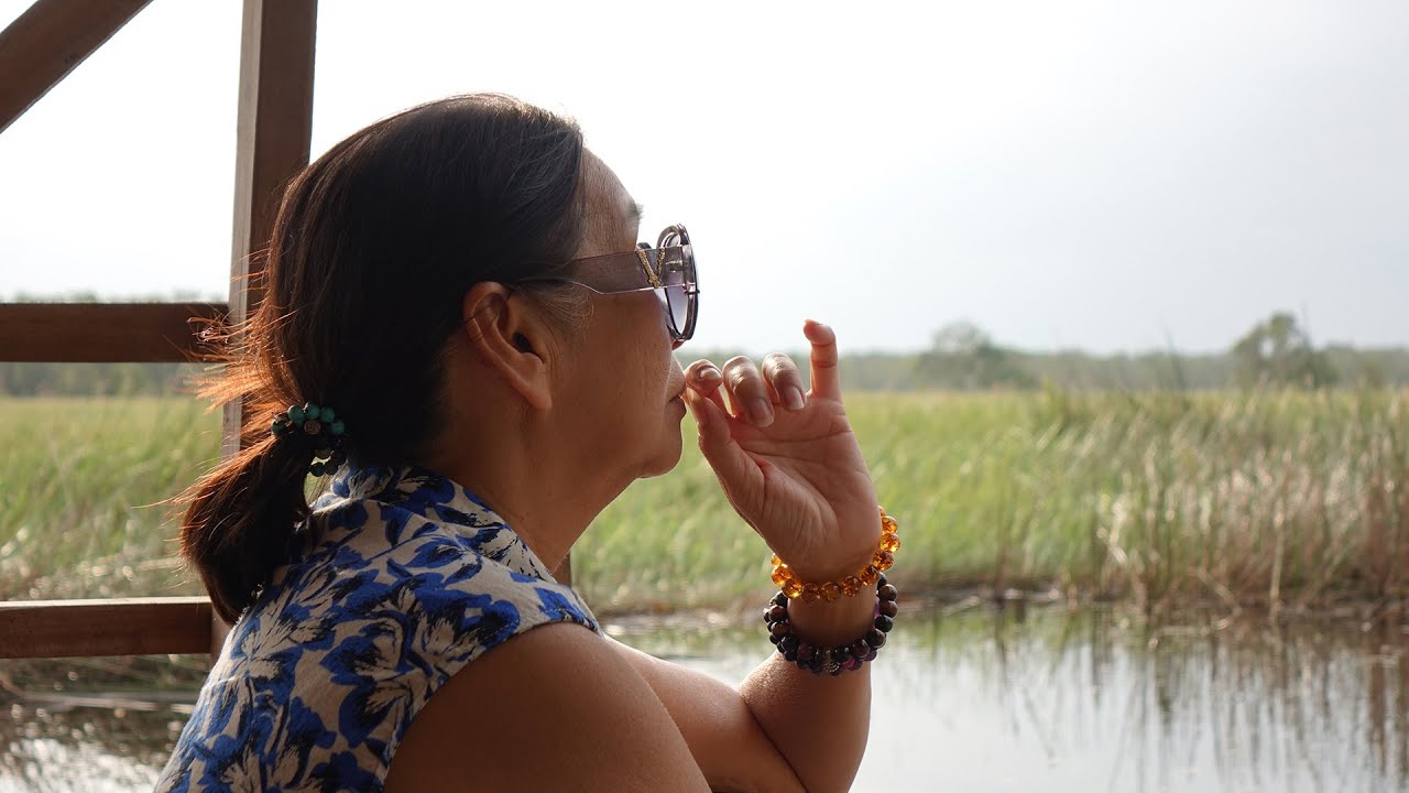 Hướng Về Nam (P1):  Đồng Tháp (Vườn Quốc Gia Tràm Chim)