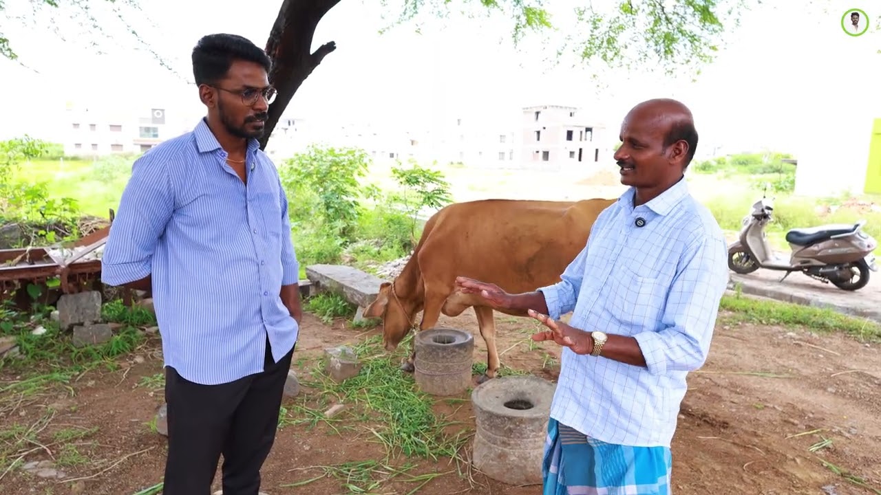 பசு வளர்ப்பு இவ்வளவு லாபம் தருமா? ஒரு விவசாயியின் அனுபவம் நேரில் | Real Dairy Farm Tips with Gowtham