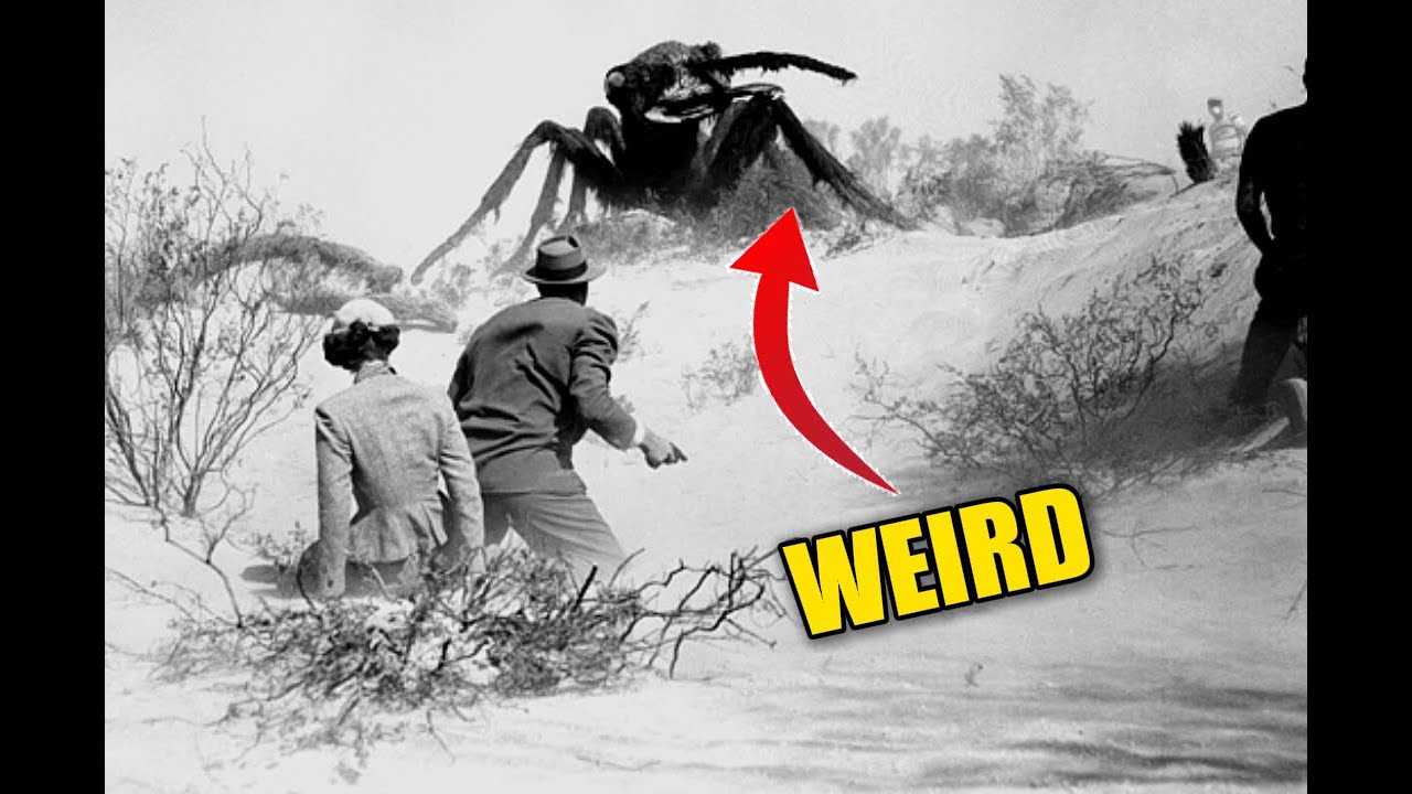 16 Weird Facts About THEM (1954) the Classic Monster Movie That Started IT ALL