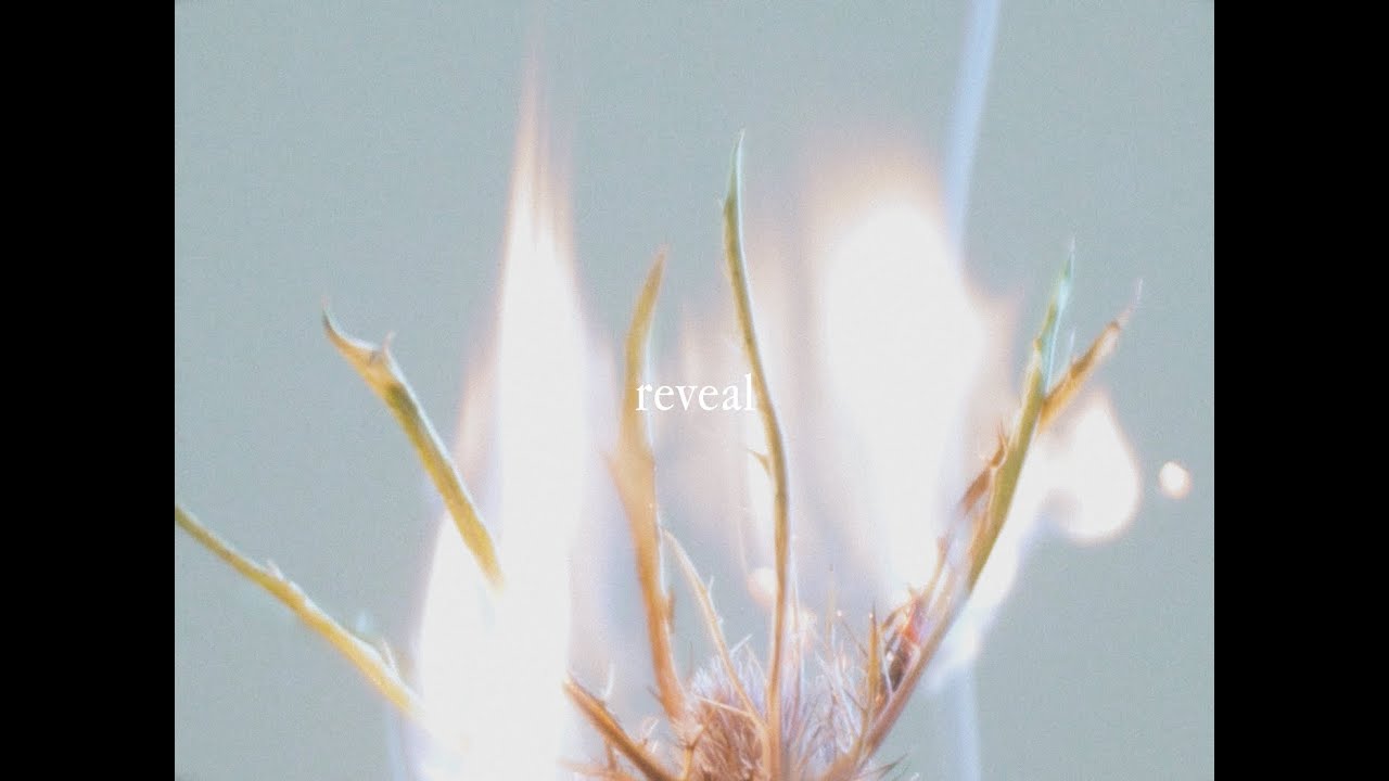 REVEAL