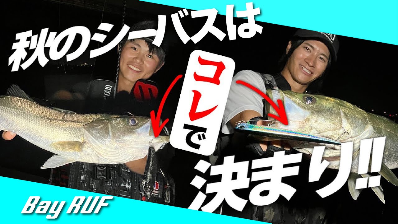 シーバスゲーム！愛知県のメジャーリバーを攻める!!