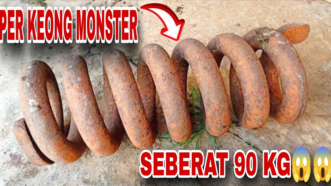 🔴Pertama kali panre tutu menemukan per keong Eksa seberat 90 kg ini baru monster😱😱