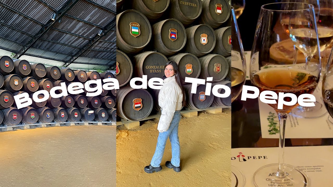 Así es el tour por la Bodega Tío Pepe en Jerez 🍷 Historia, vino y experiencia