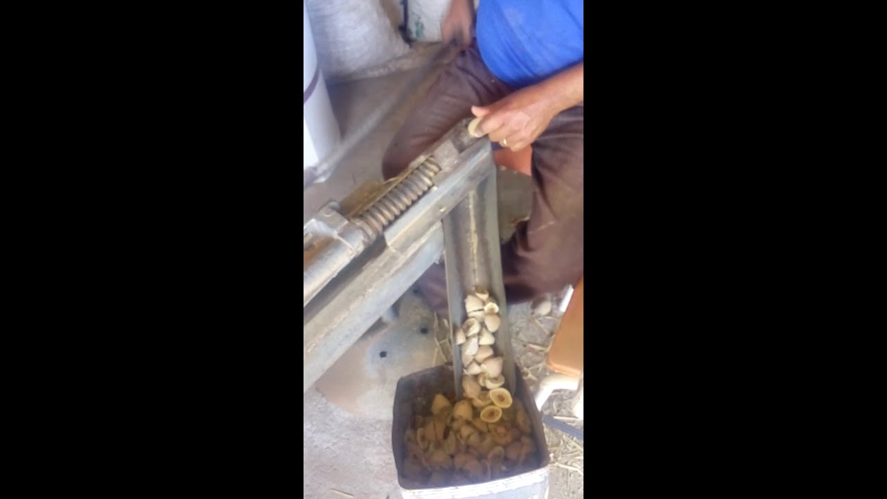 Máquina de cortar barú