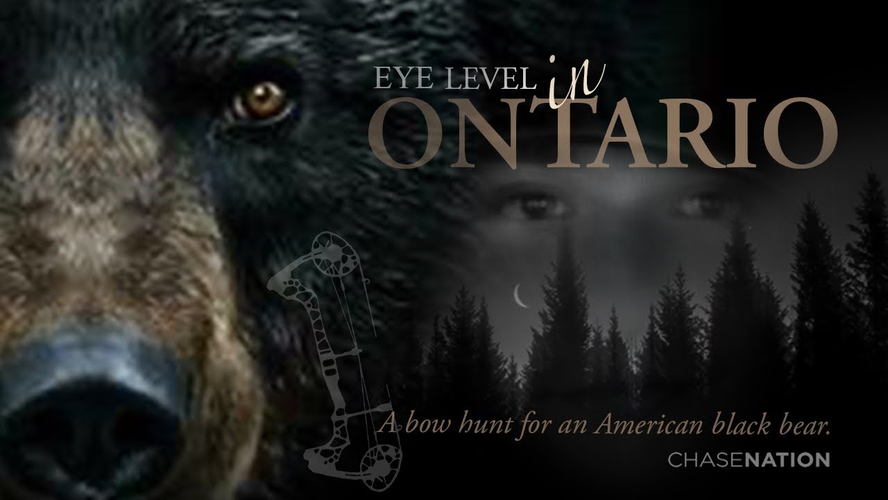 Ontario Black BEAR Bow HUNT - Eye Level from the Ground!