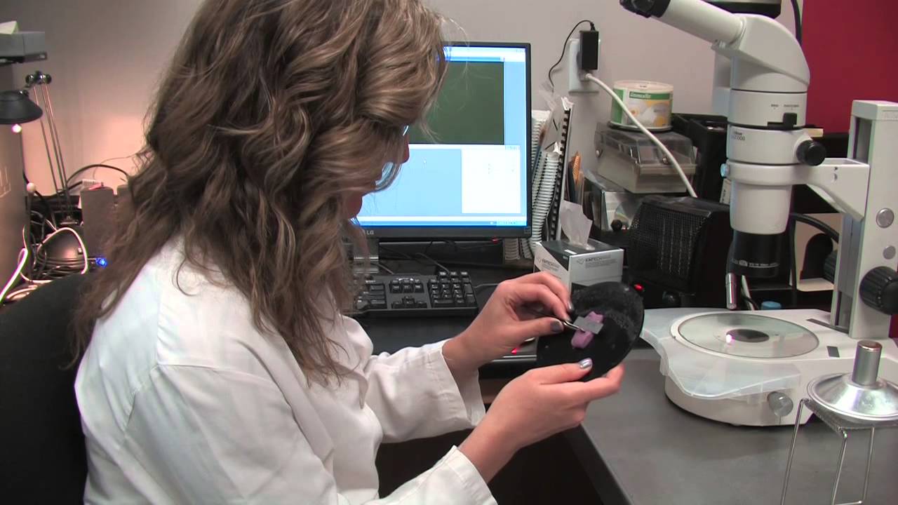 Age Determination of Otoliths with the Crack and Burn Method