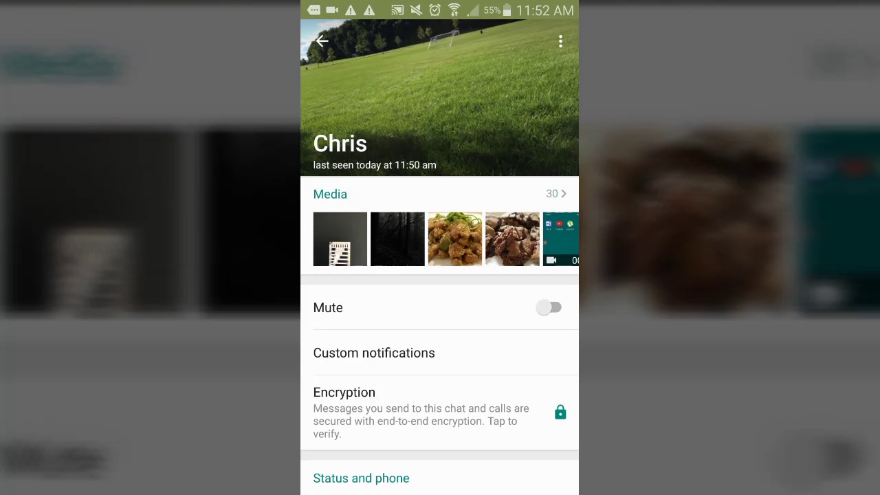 Change Friend's Whatsapp Profile Picture  (NEW WAY)