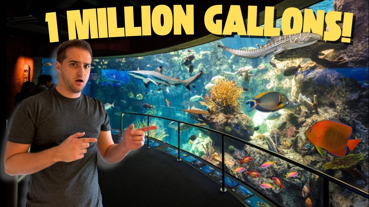I DIDN’T EXPECT THIS FROM ONE OF AMERICA’S BIGGEST AQUARIUMS!