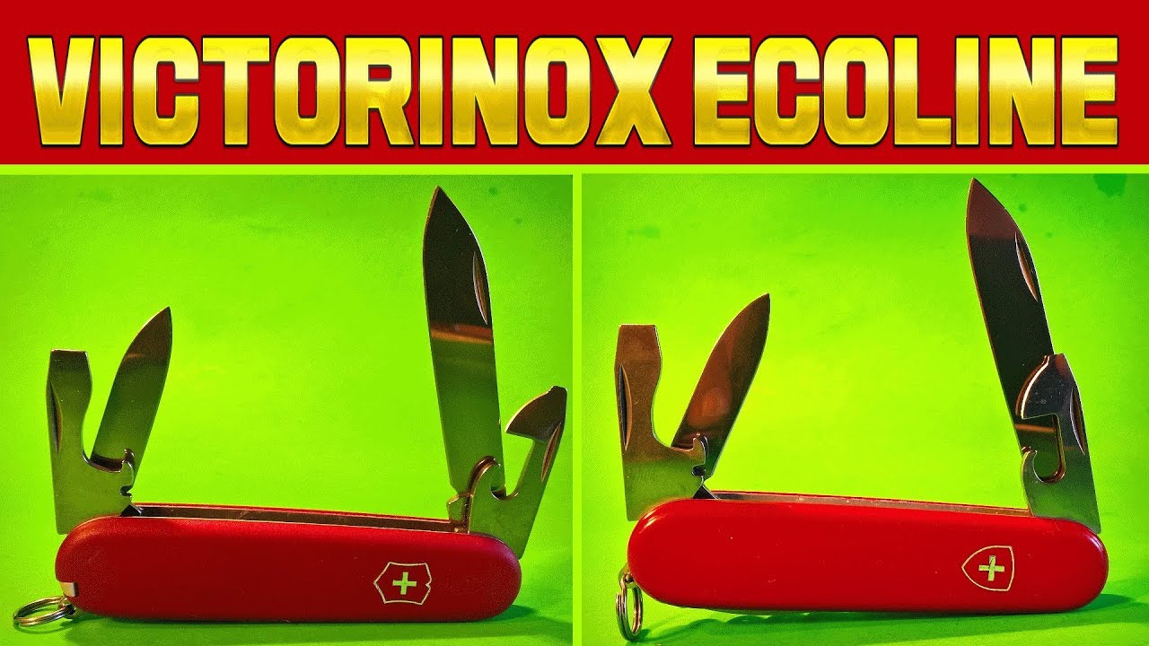 Ножи Victorinox Ecoline обзор линейки, плюсы-минусы, список моделей.