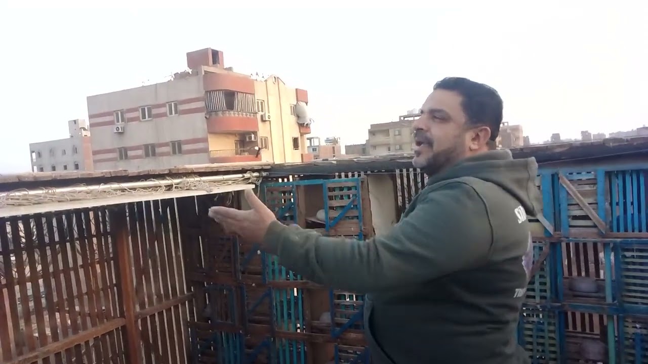 ٢٧ يناير ٢٠٢٦