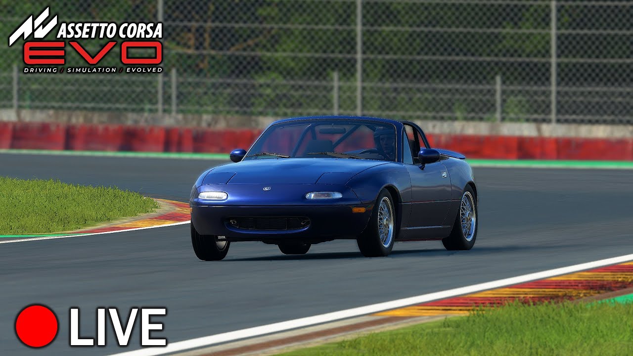 Assetto Corsa EVO #8 