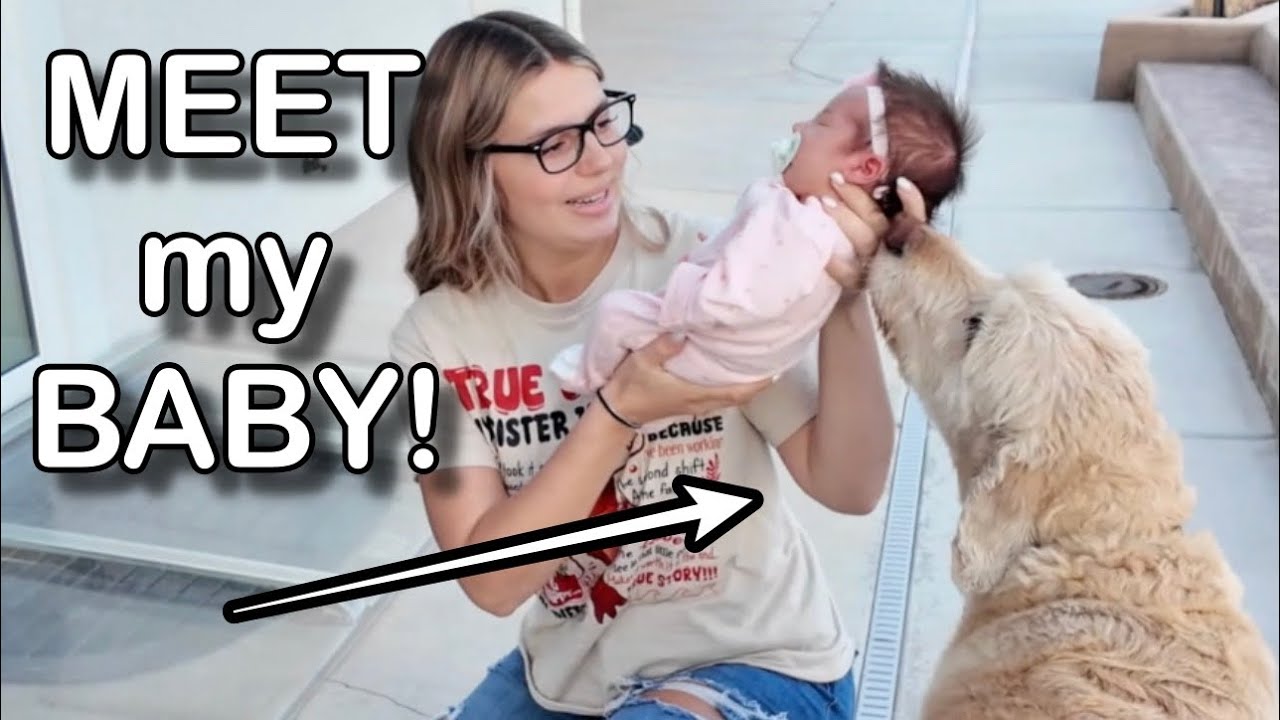 My DOG has to MEET my BABY!!!!