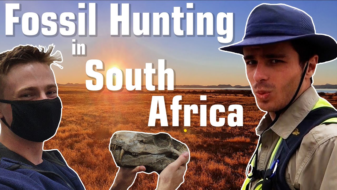 We Went to South Africa to Hunt For Fossils - Here’s What Happened to Us