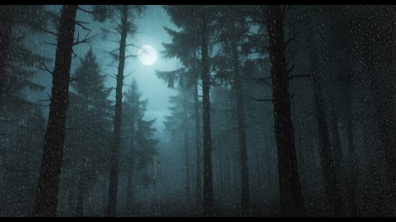 The Forest That Goes Silent 🌲 Dark Night Ambience | 30 Minutes