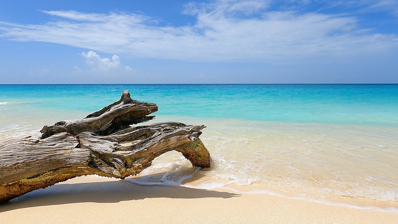Relaxing Rhythmic Waves of a Beautiful Beach in Antigua