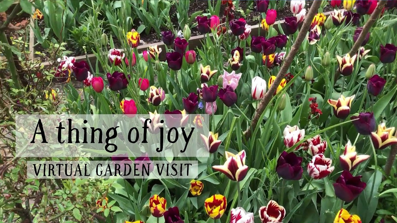 A thing of joy: The Garden House, Brighton