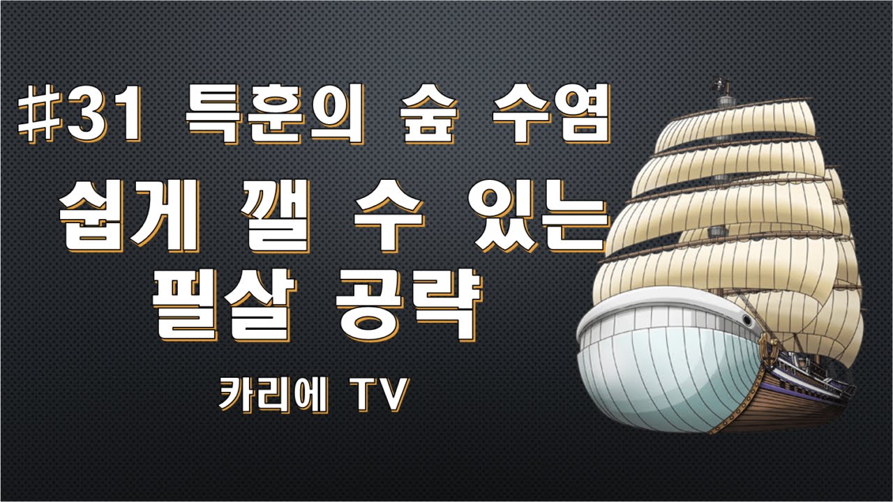 [원피스 트레저 크루즈] #31 특훈의 숲, 수염(Training forest, whitebeard) ! 레일리 선장 필살 공략 공개 !!