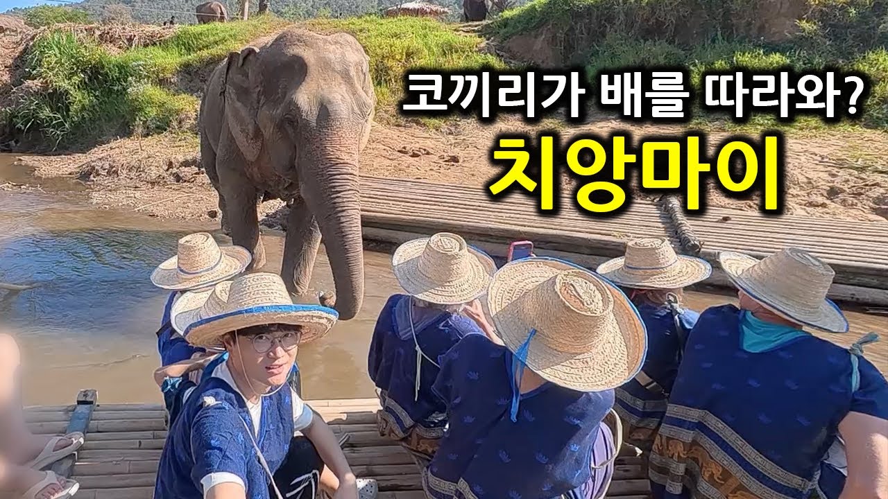 말이 안 되는 경험… 초 근접 코끼리를 만나다