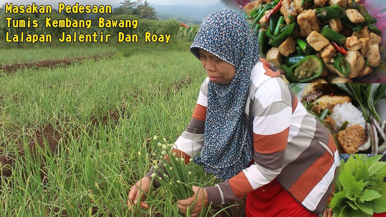 Masakan Desa Tumis Kembang Bawang | Musim Hujan